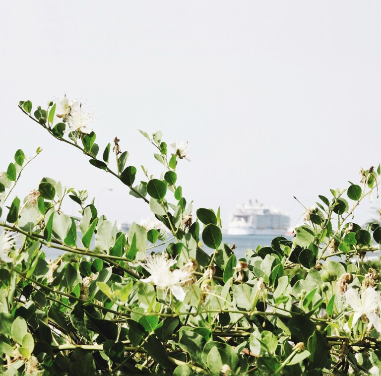 Processed with VSCO with se3 preset