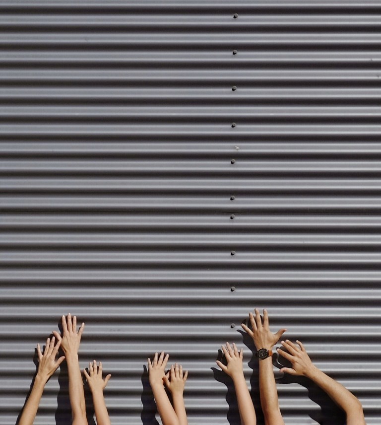 Foto para Fossil #FossilQ